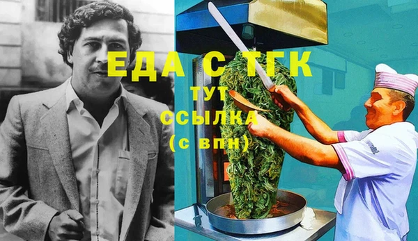 индика Алексин