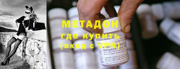 индика Алексин