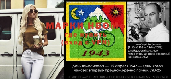 индика Алексин