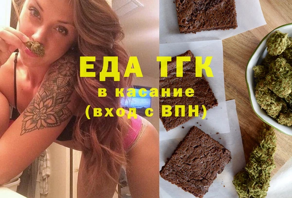индика Алексин