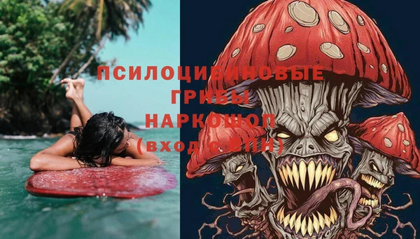 индика Алексин