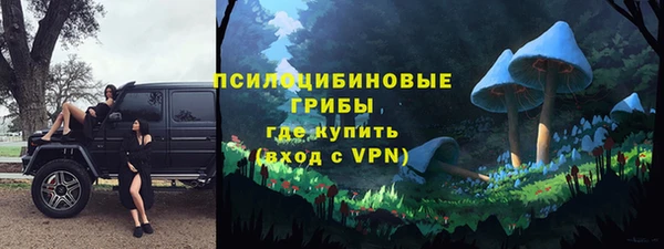 гашик Абинск