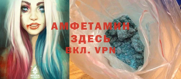 индика Алексин