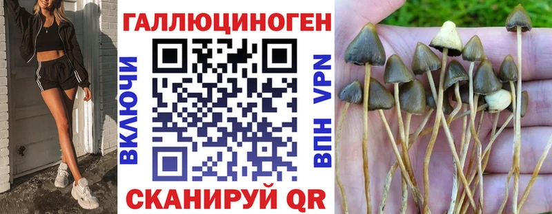 наркошоп  Оханск  Псилоцибиновые грибы Psilocybe 